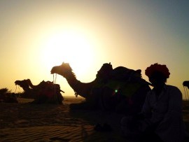 Desert Camel Safari Jaisalmer